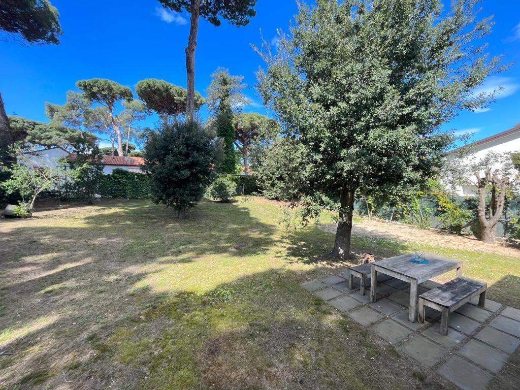 Pineta Apartament Tirrenia Εξωτερικό φωτογραφία