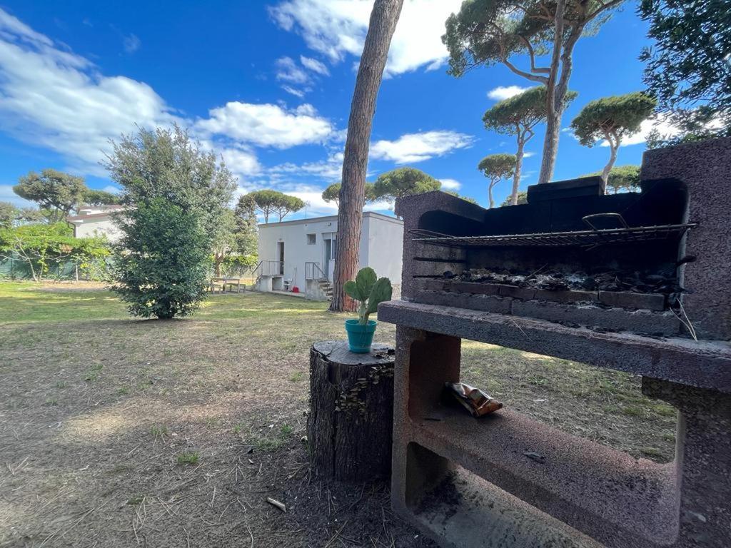 Pineta Apartament Tirrenia Εξωτερικό φωτογραφία