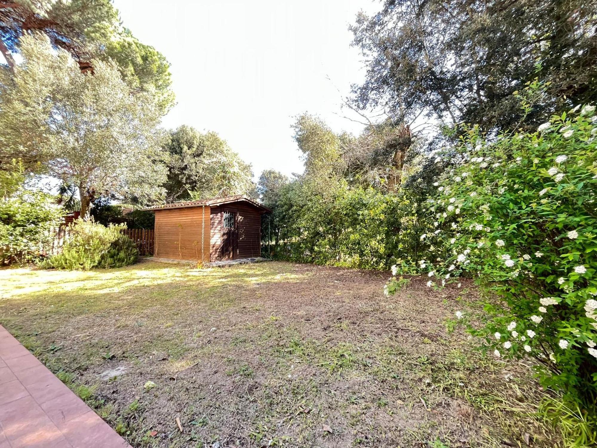 Pineta Apartament Tirrenia Δωμάτιο φωτογραφία